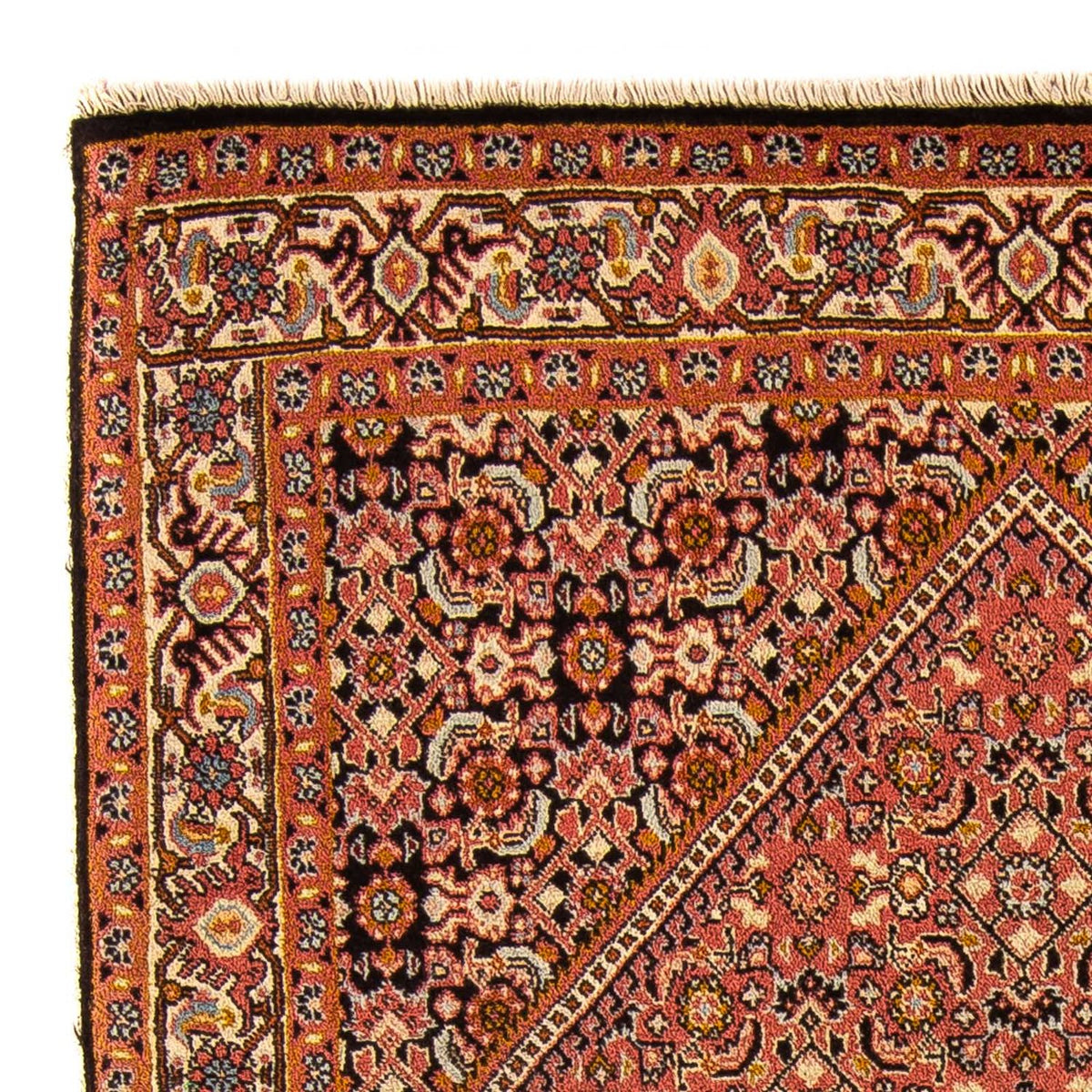 Bidjar - Bukan Teppich 88x143cm - Perserteppich