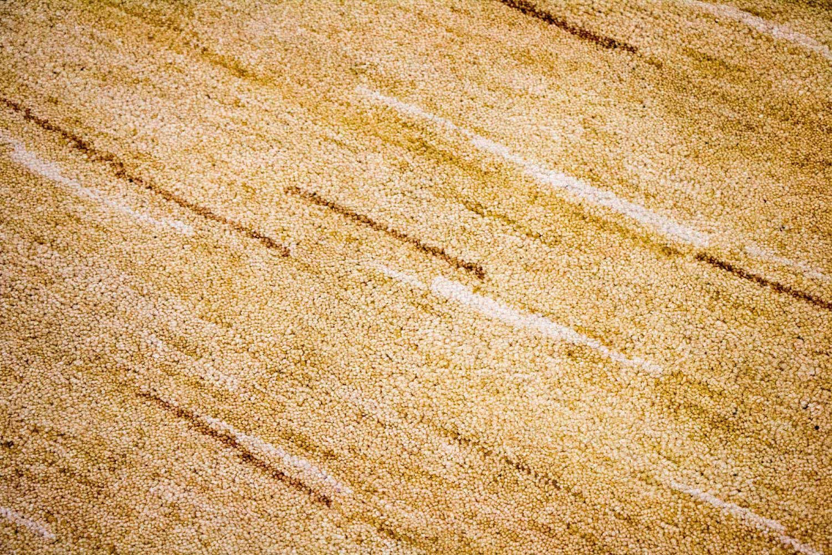 Gabbeh Teppich - Indus 242 x 150 cm