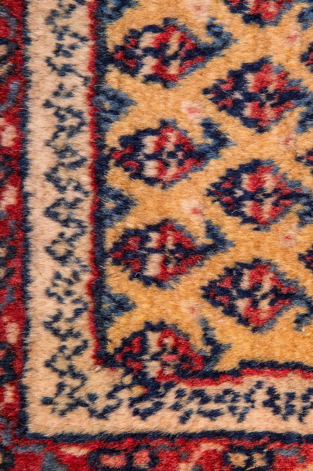 Perserteppich - Nomadic 288 x 238 cm