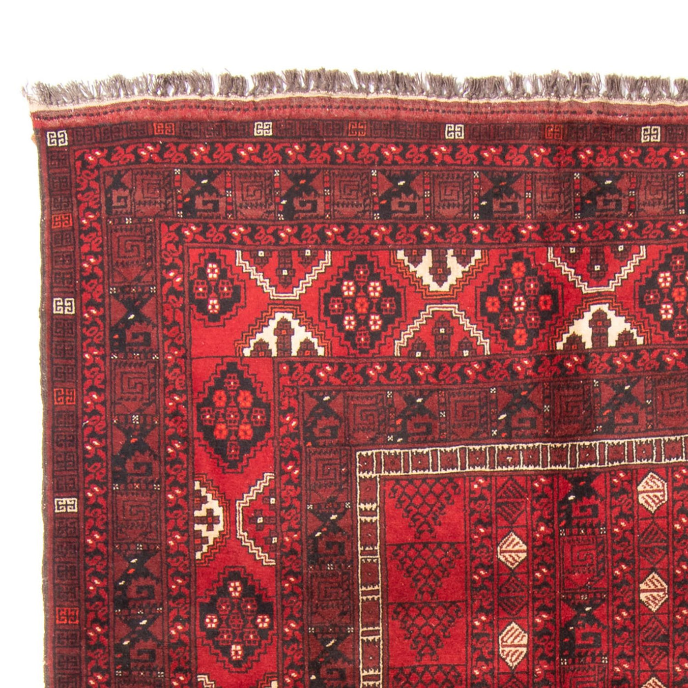 Turkaman Teppich 244x158cm - Orientteppich