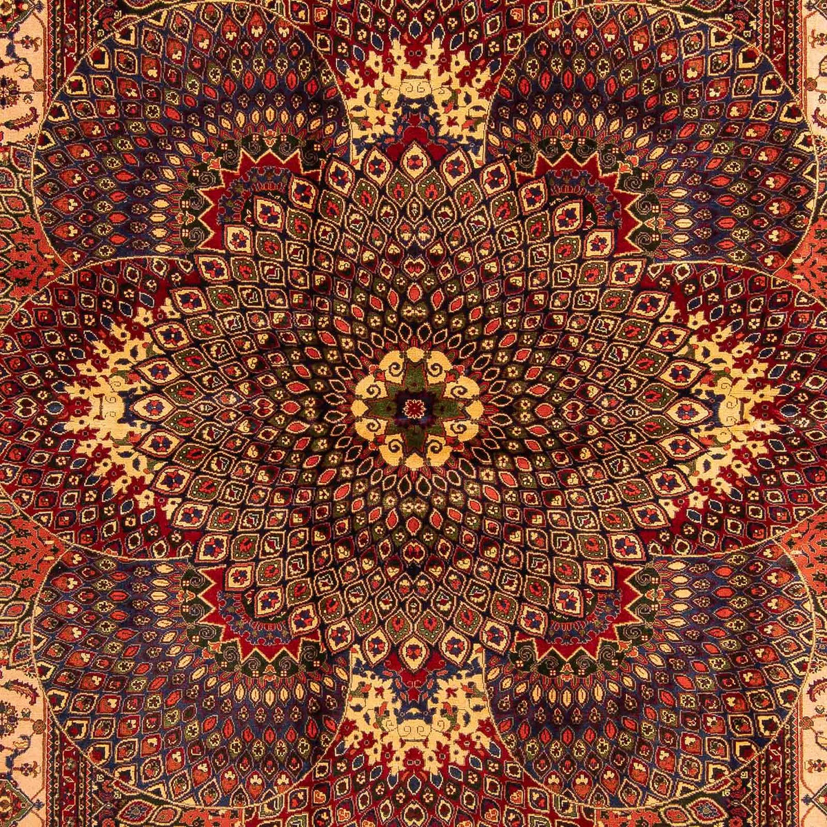 Afghan Teppich 279 x 198 cm