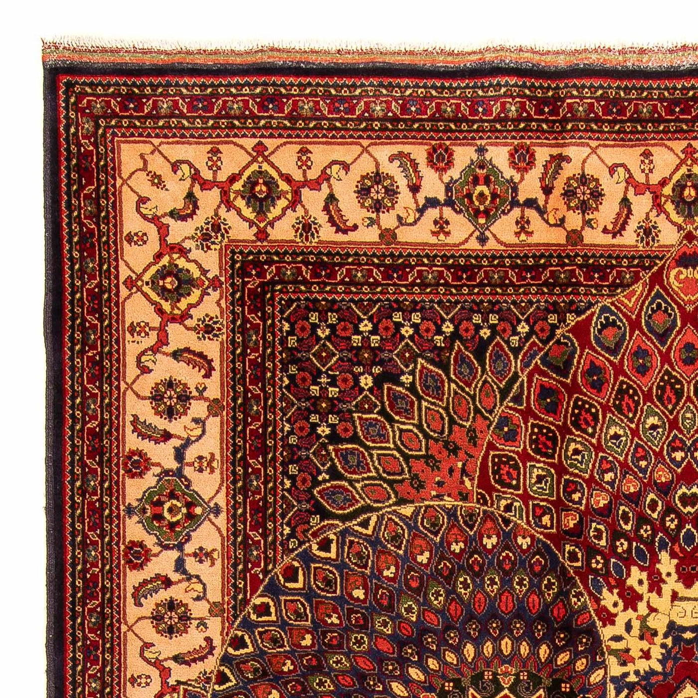 Afghan Teppich 279x198cm - Orientteppich