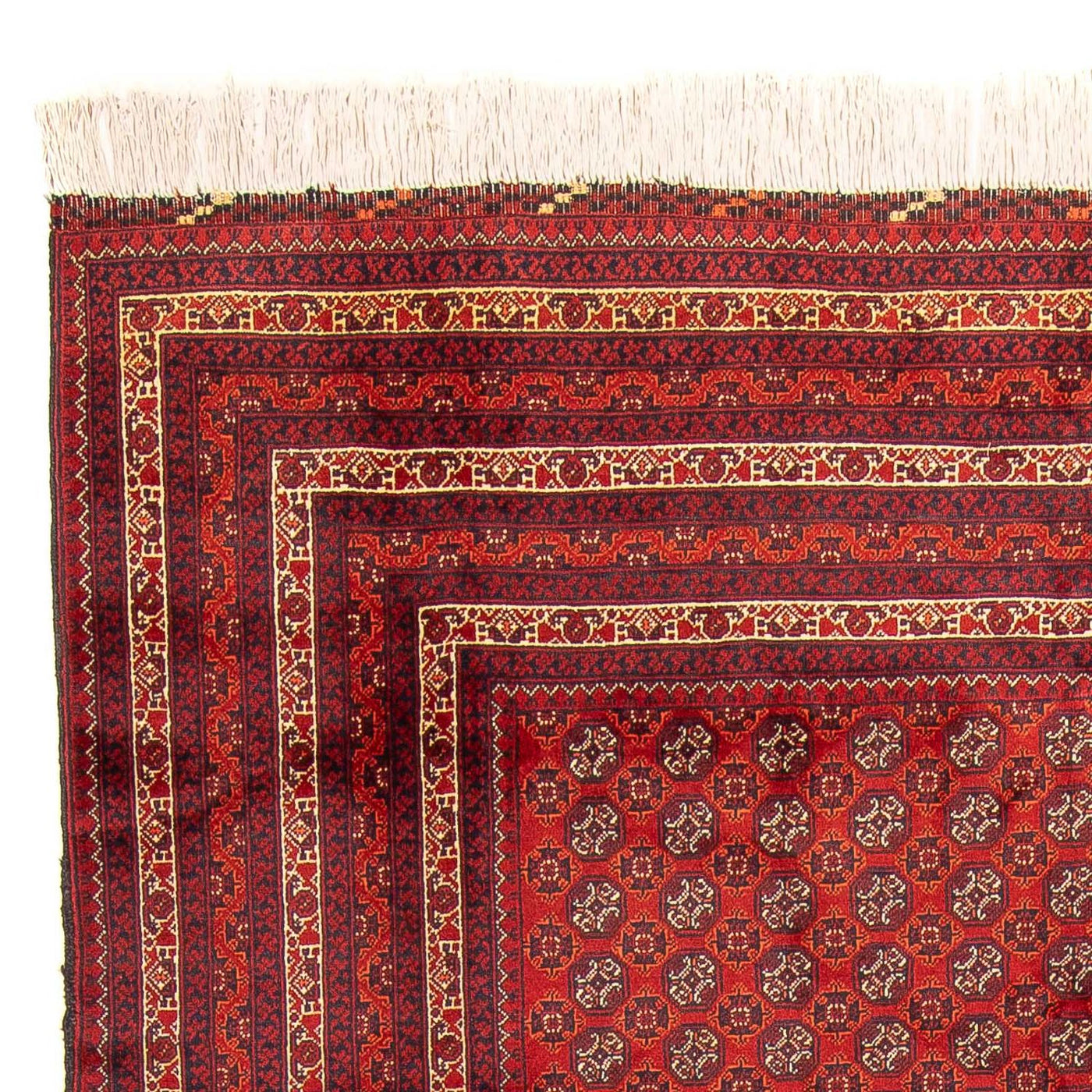 Buchara Teppich 300x200cm - Orientteppich