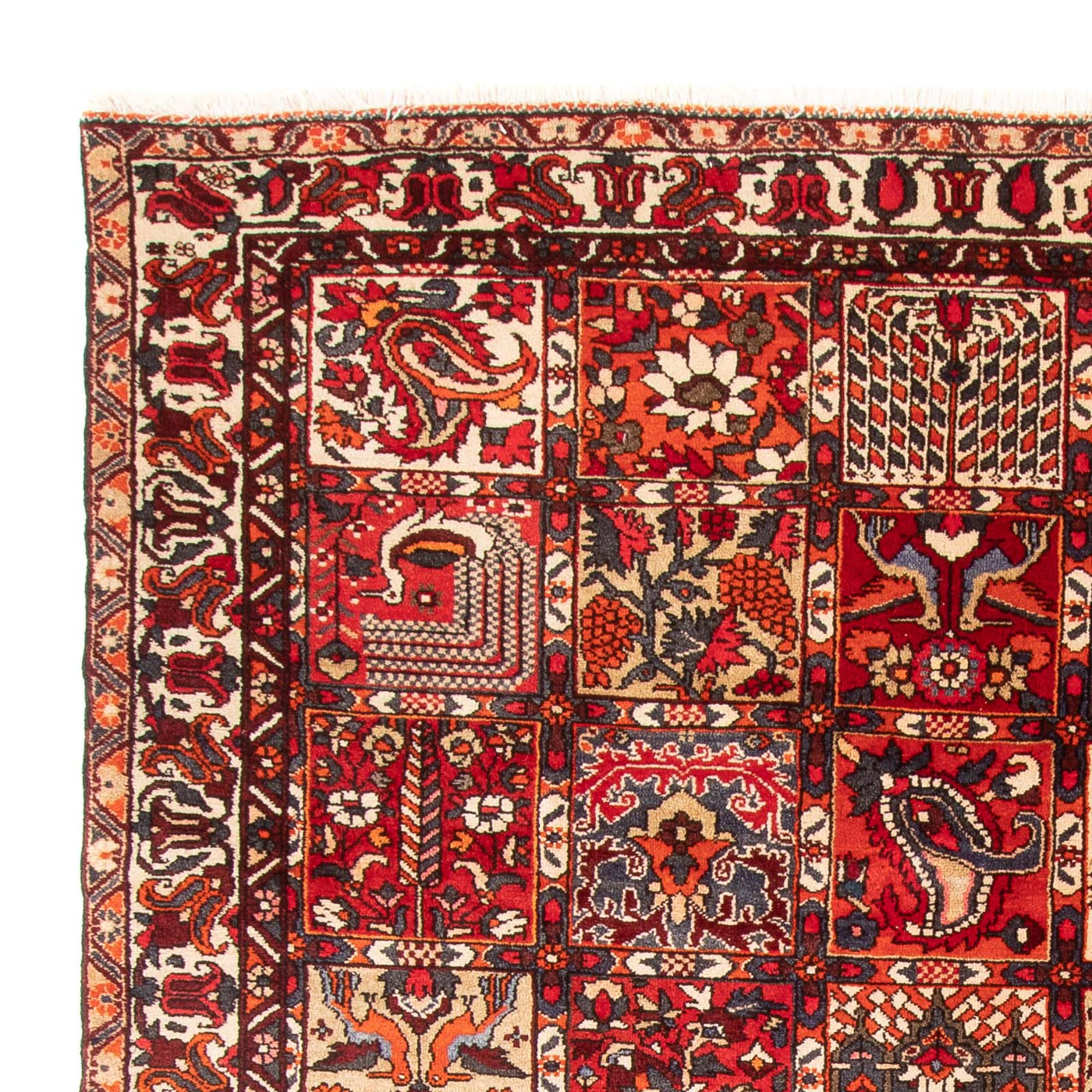 Bachtiar Teppich 306x201cm - Perserteppich