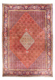 Bidjar Teppich 420x310cm - Perserteppich