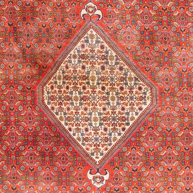 Perserteppich - Bidjar - 420 x 310 cm - terrakotta
