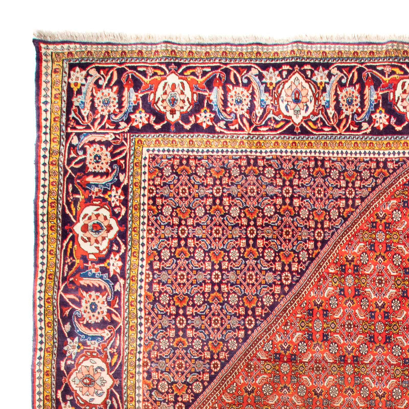 Perserteppich - Bidjar - 420 x 310 cm - terrakotta