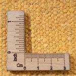 Kelim Teppich - Trendy - 200 x 140 cm - mehrfarbig