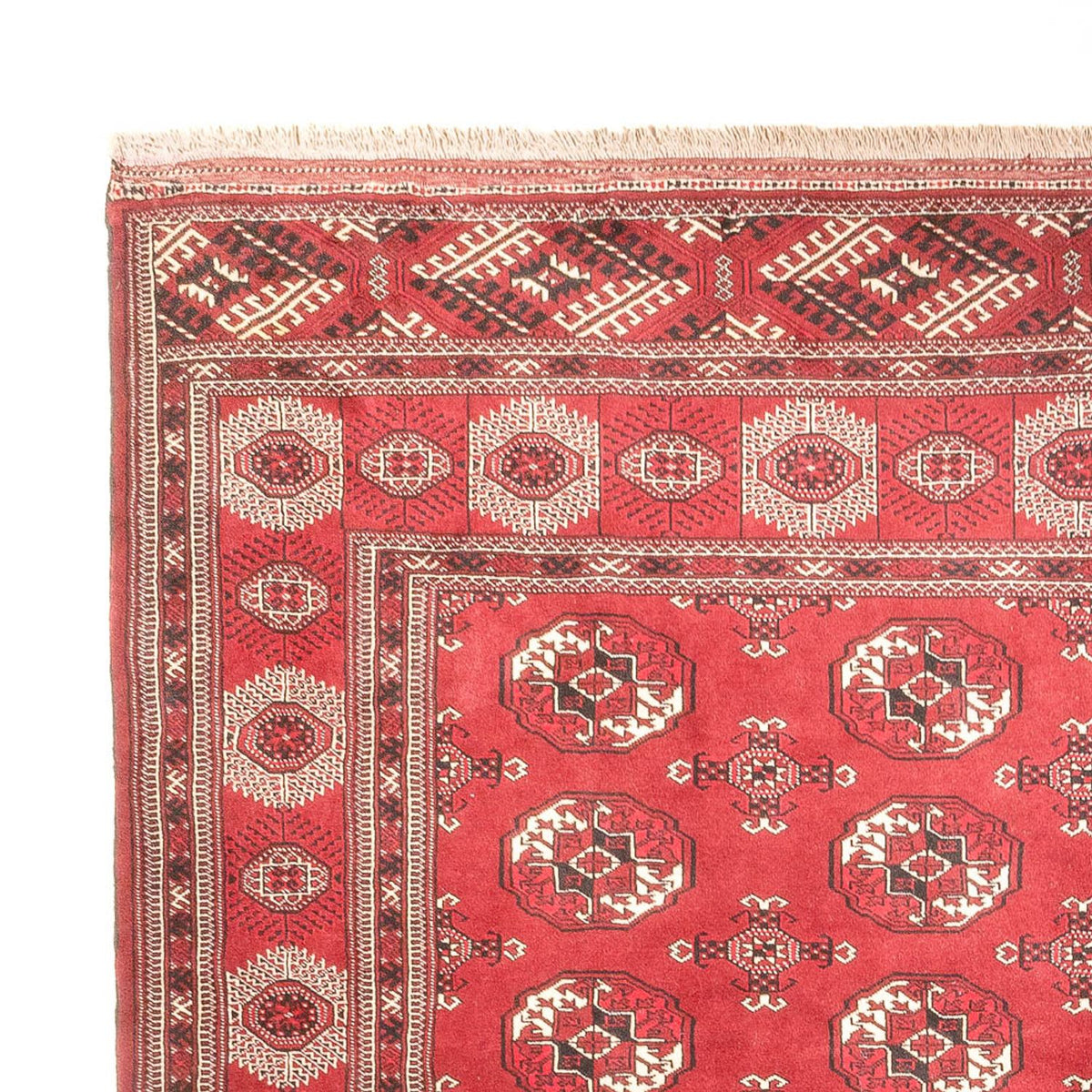 Turkaman Teppich - 260 x 400 cm - rot