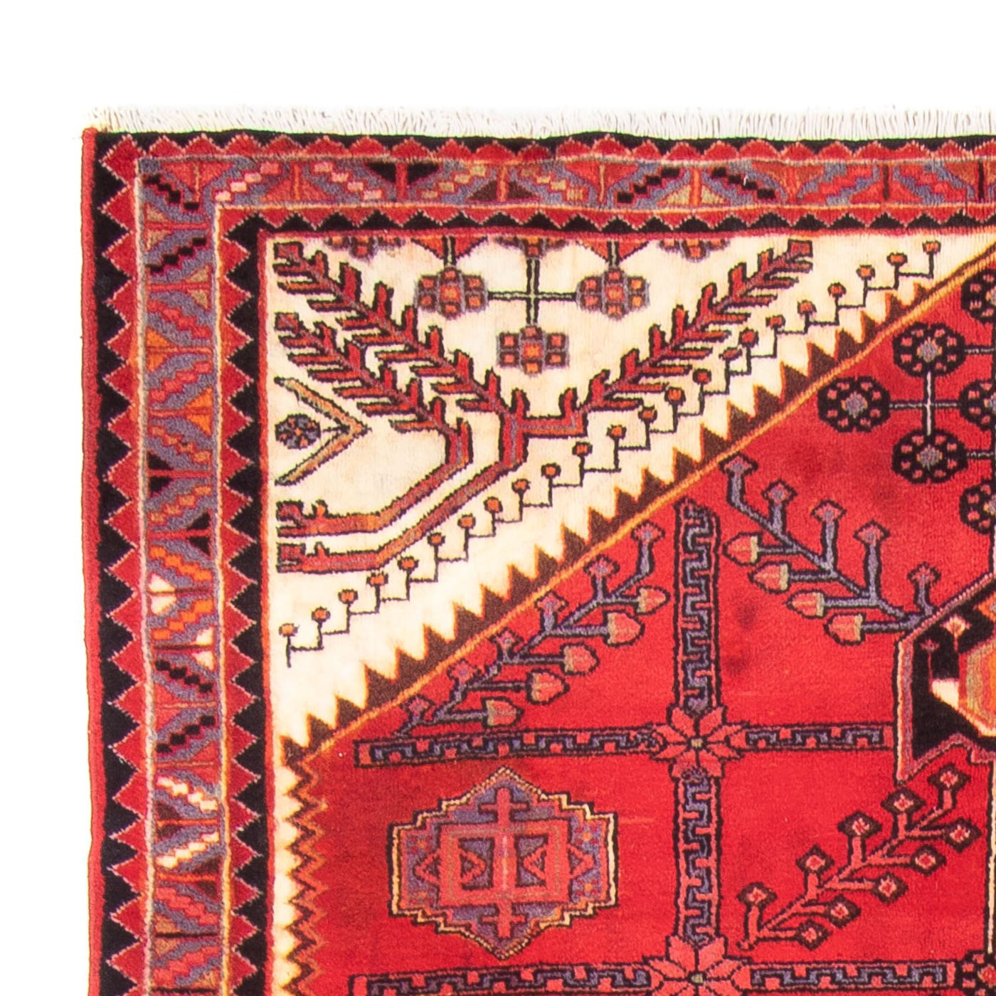 Hosseinabad Teppich 317x156cm - Perserteppich