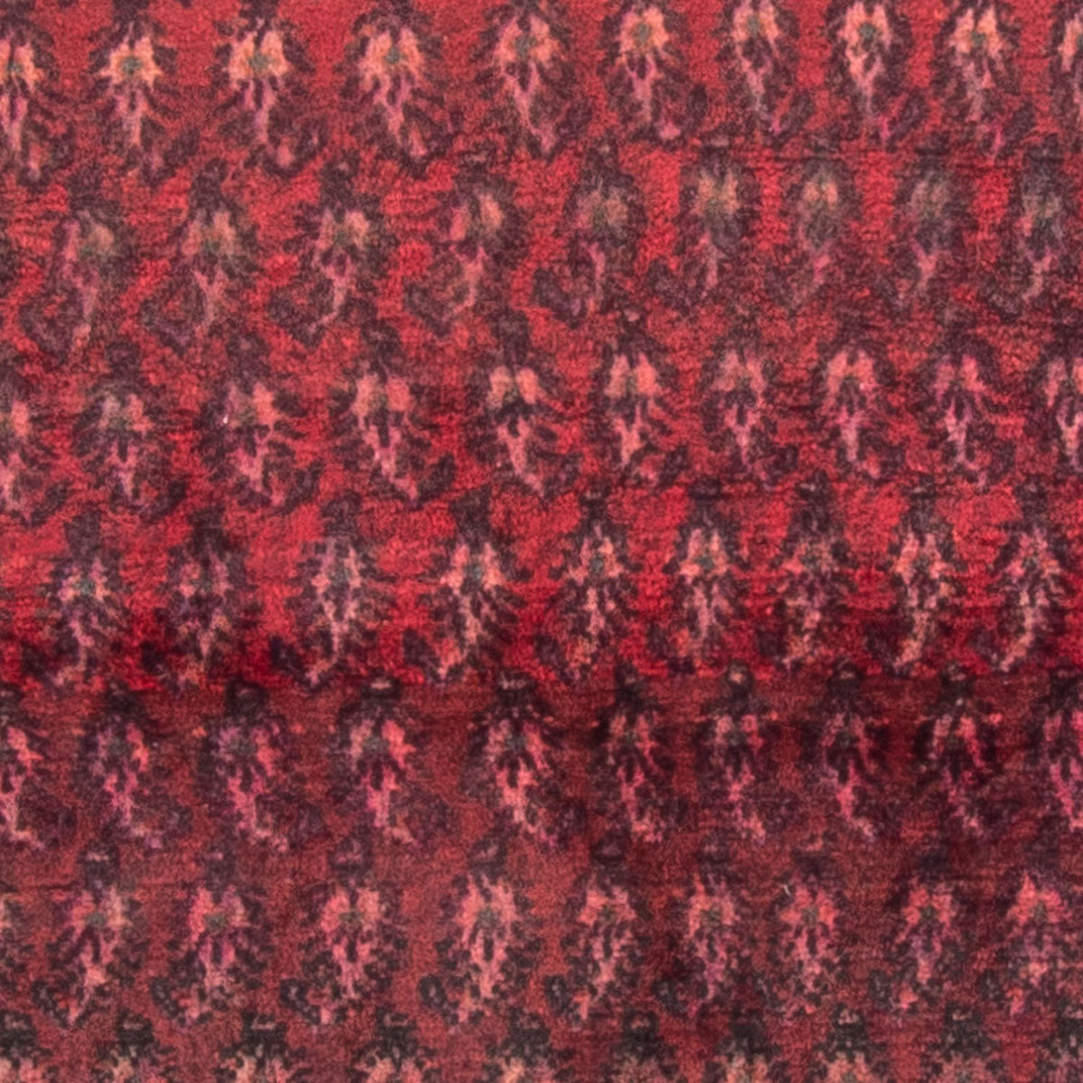 Perserteppich - Nomadic - 150 x 140 cm - rot