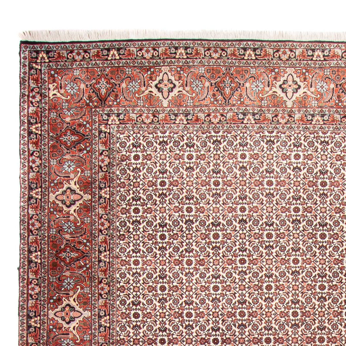 Bidjar Teppich 250x340cm - Perserteppich