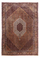 Bidjar Teppich 305x210cm - Perserteppich