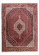 Bidjar Teppich 346x252cm - Perserteppich