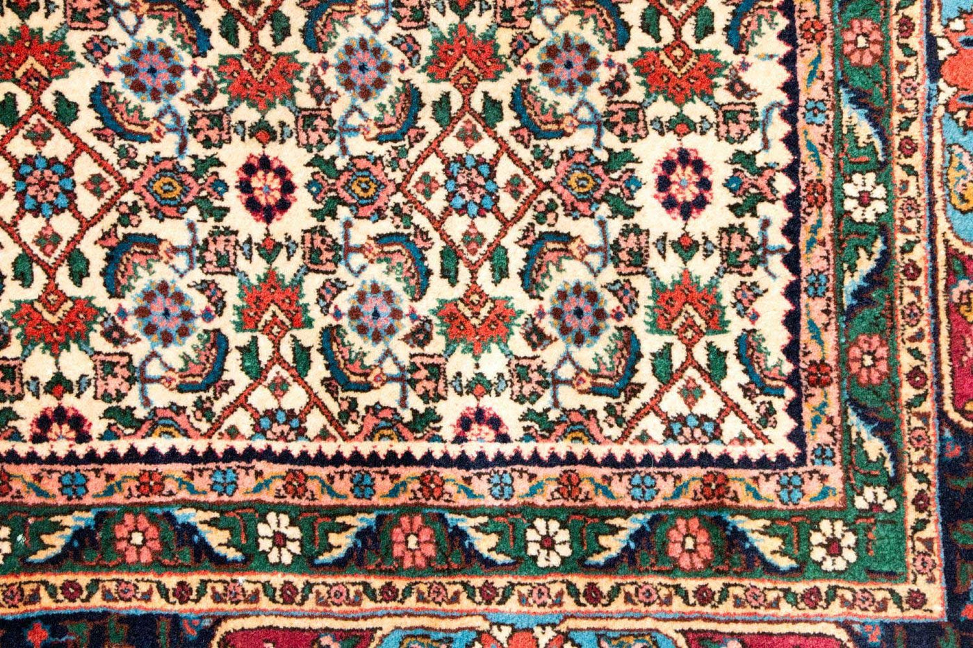 Bidjar - Takab Teppich 315x223cm - Perserteppich