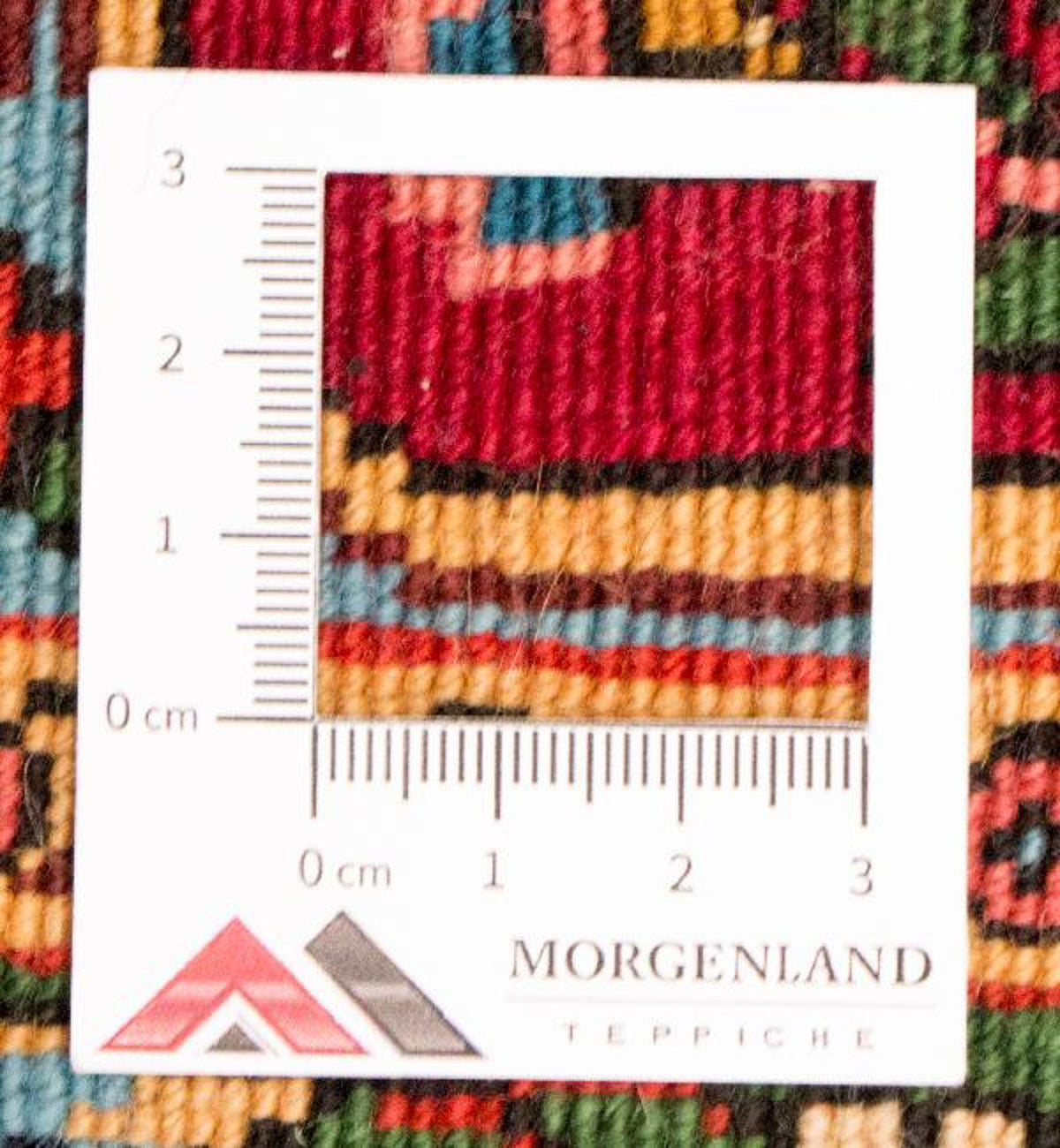 Perserteppich - Bidjar - Royal 315 x 223 cm