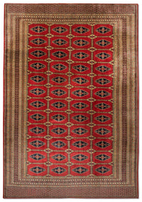 Afghan Teppich - Buchara 292 x 188 cm