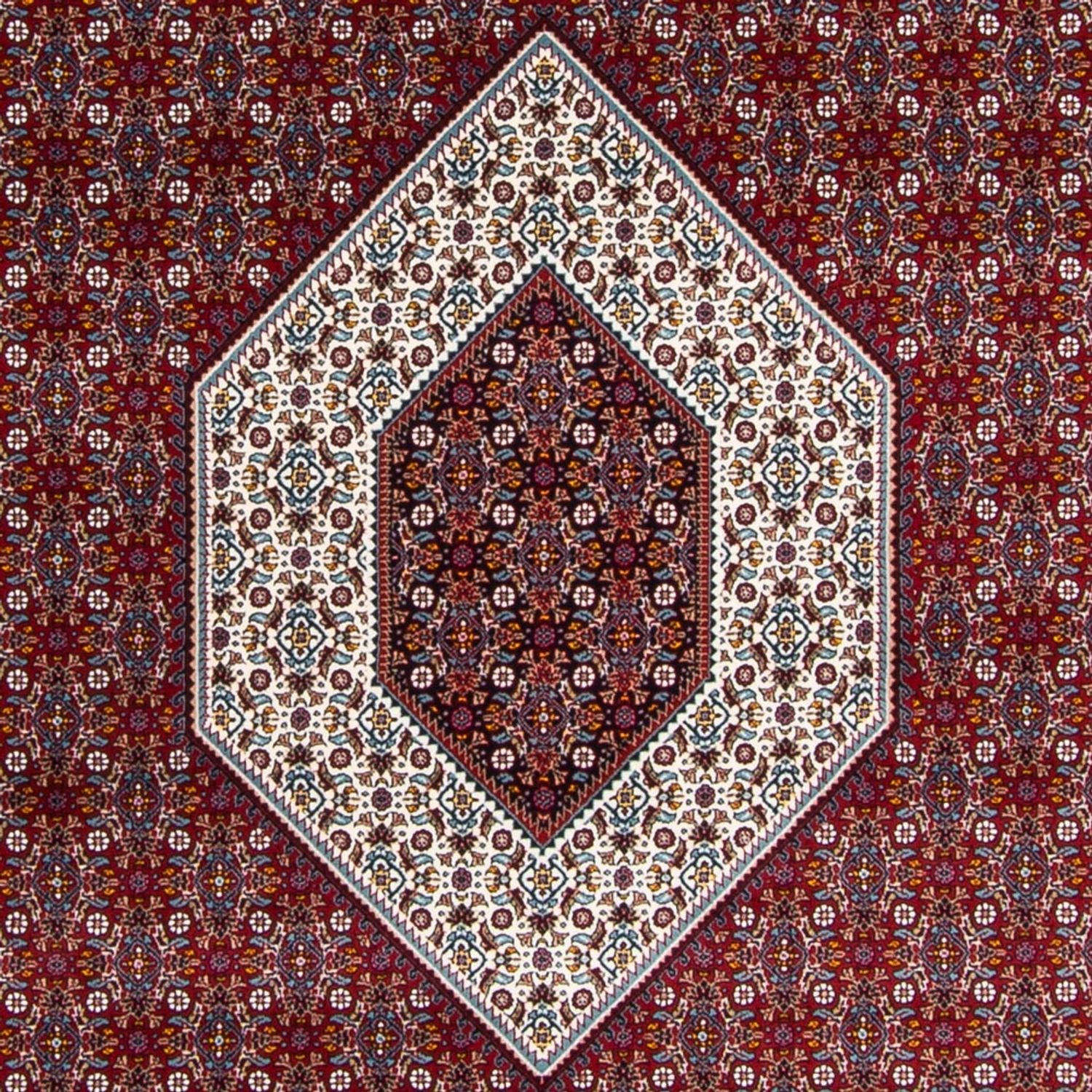 RD7-7063-85x50