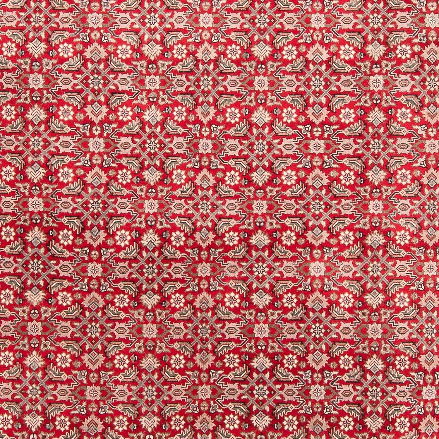 Orientteppich - Bidjar - Indus 352 x 237 cm