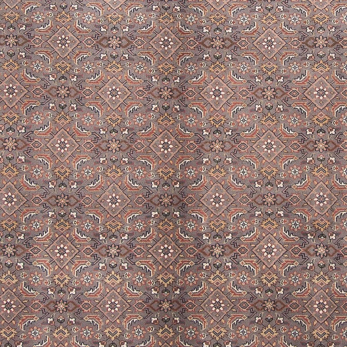 Orientteppich - Bidjar - Indus 299 x 248 cm