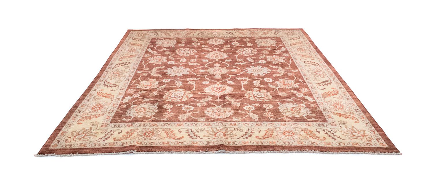 Ziegler Teppich 290 x 249 cm