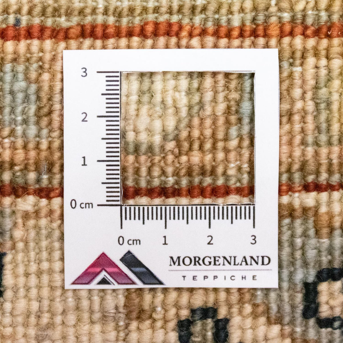 Ziegler Teppich 258 x 173 cm