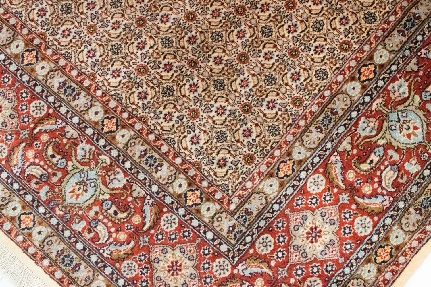 Perserteppich - Classic 339 x 249 cm - beige