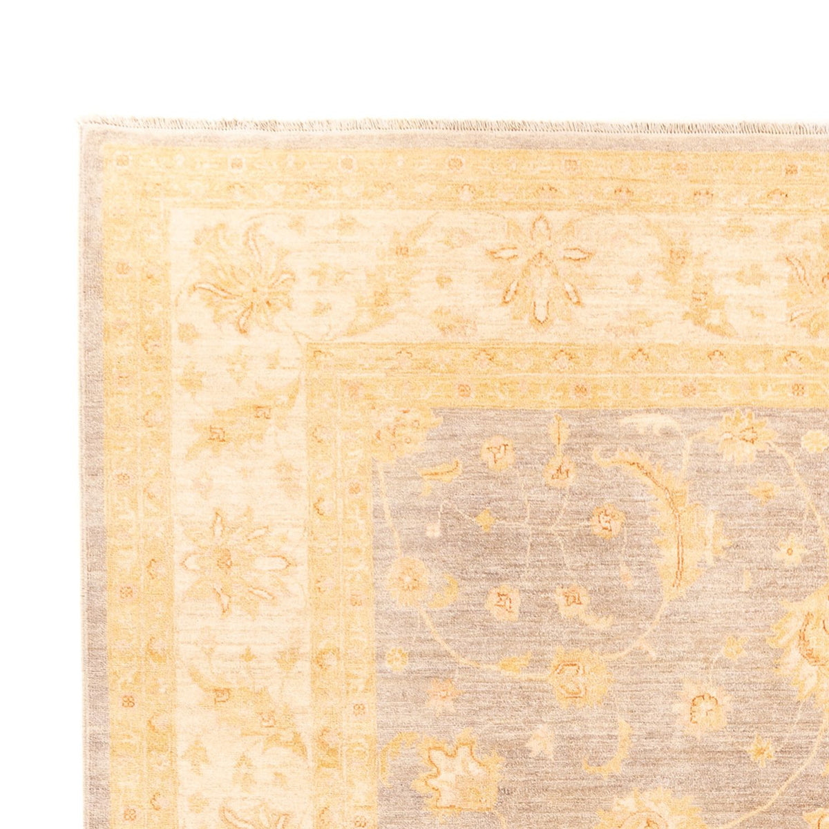 Ziegler Teppich - 354 x 260 cm - beige