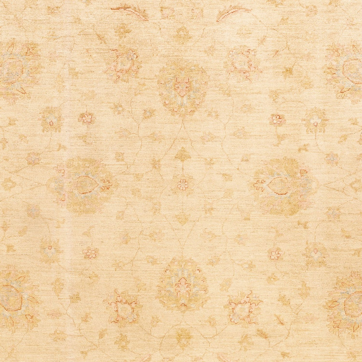 Ziegler Teppich - 348 x 257 cm - beige