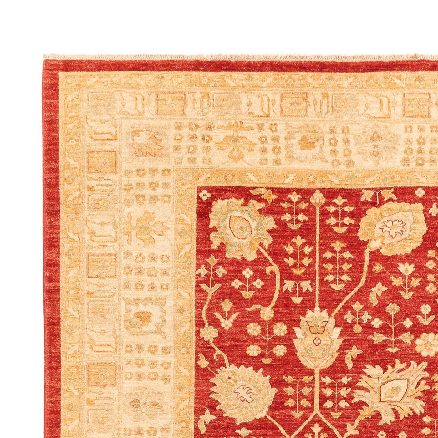 Ziegler Teppich - 340 x 254 cm - rot