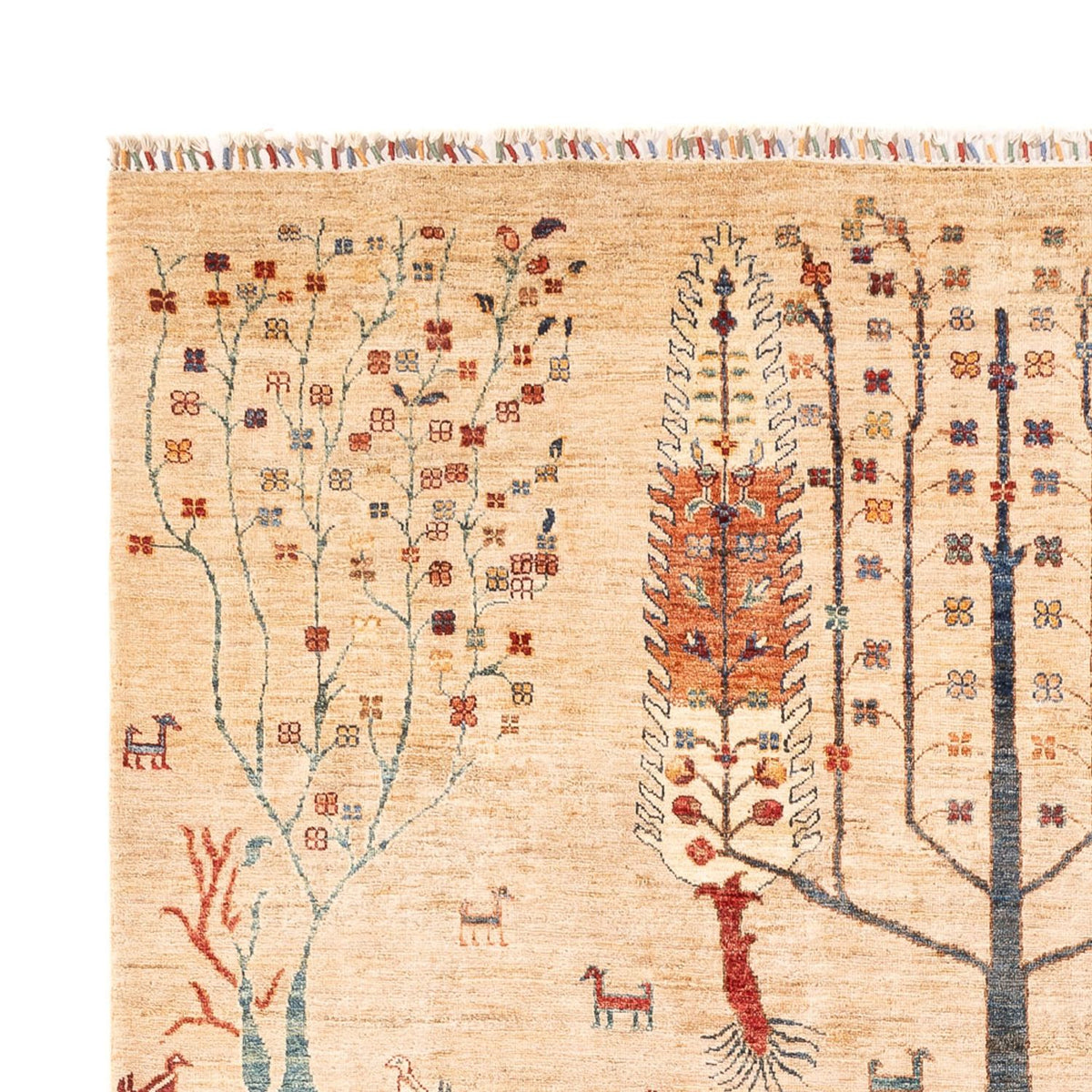 Ziegler Teppich - Ariana - 303 x 204 cm - beige