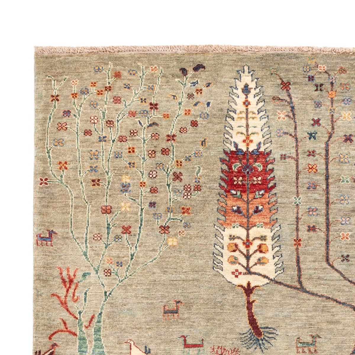 Ziegler Teppich - Ariana - 244 x 173 cm - sand