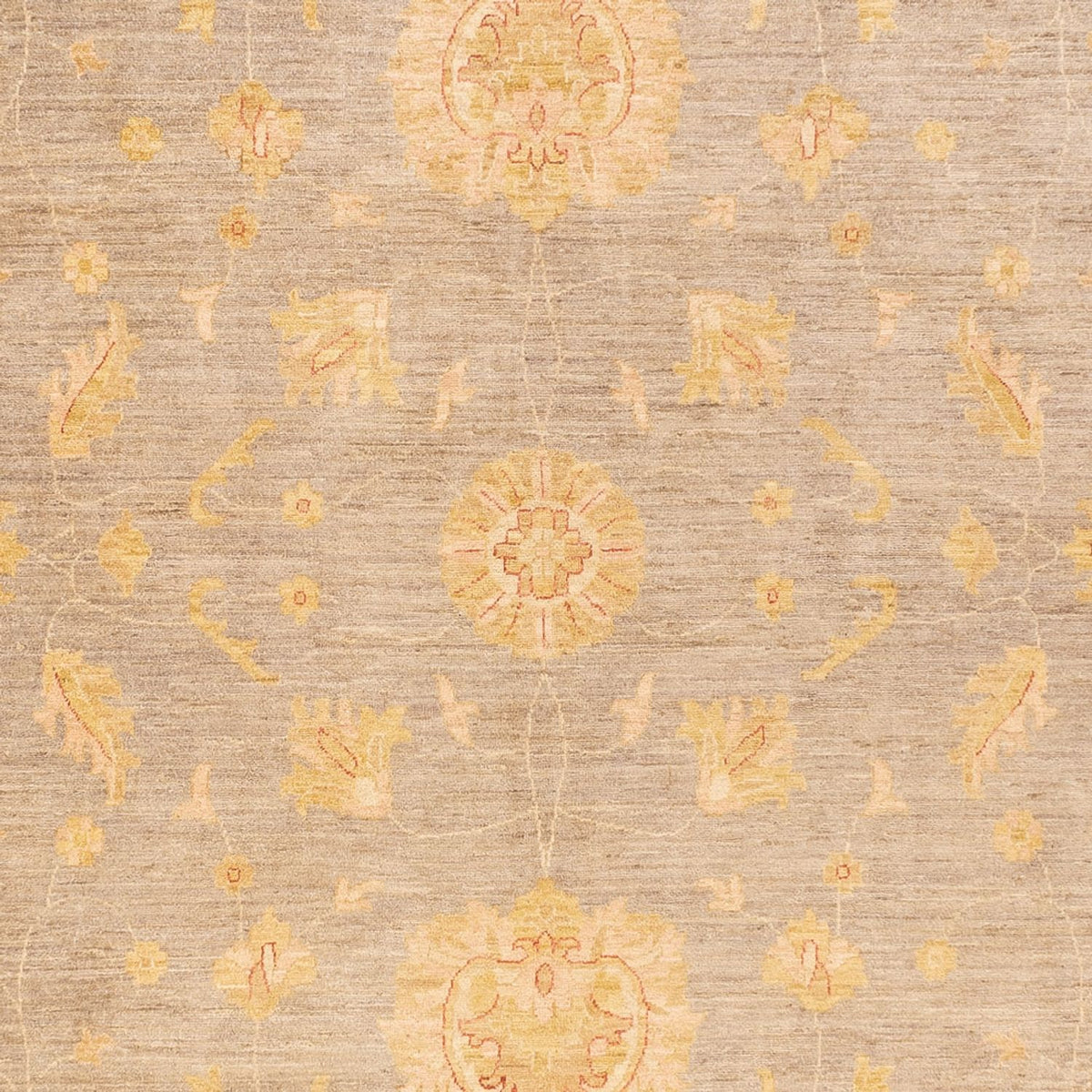 Ziegler Teppich - 397 x 304 cm - dunkelbeige