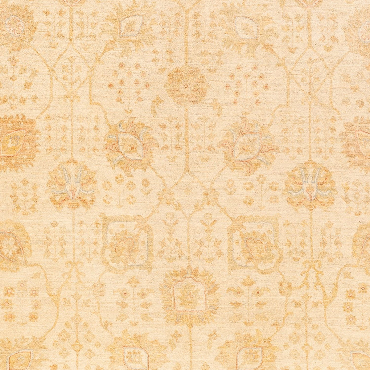 Ziegler Teppich - 400 x 305 cm - beige