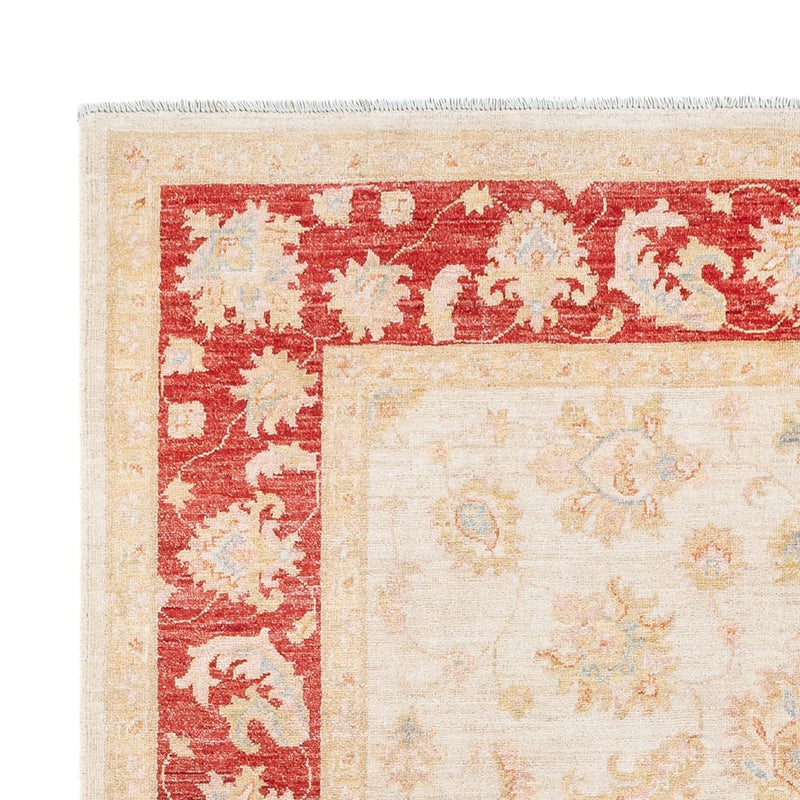 Ziegler Teppich - 238 x 173 cm - creme