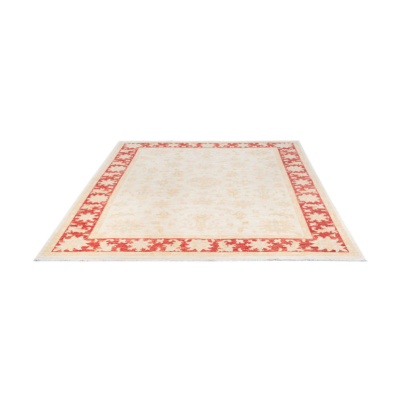 Ziegler Teppich - 239 x 170 cm - creme