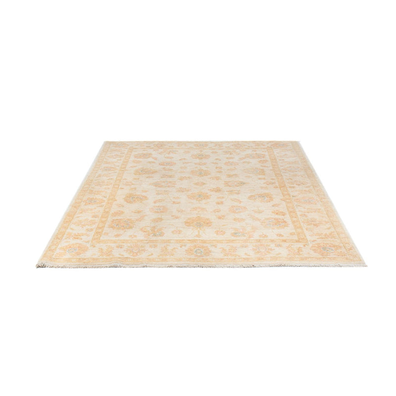 Ziegler Teppich - 244 x 169 cm - beige