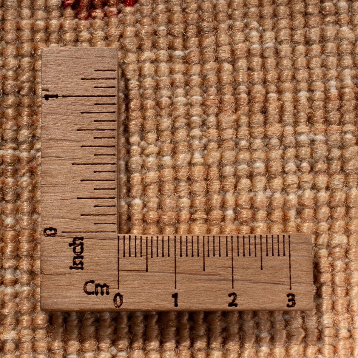 Ziegler Teppich - Ariana - 301 x 241 cm - beige