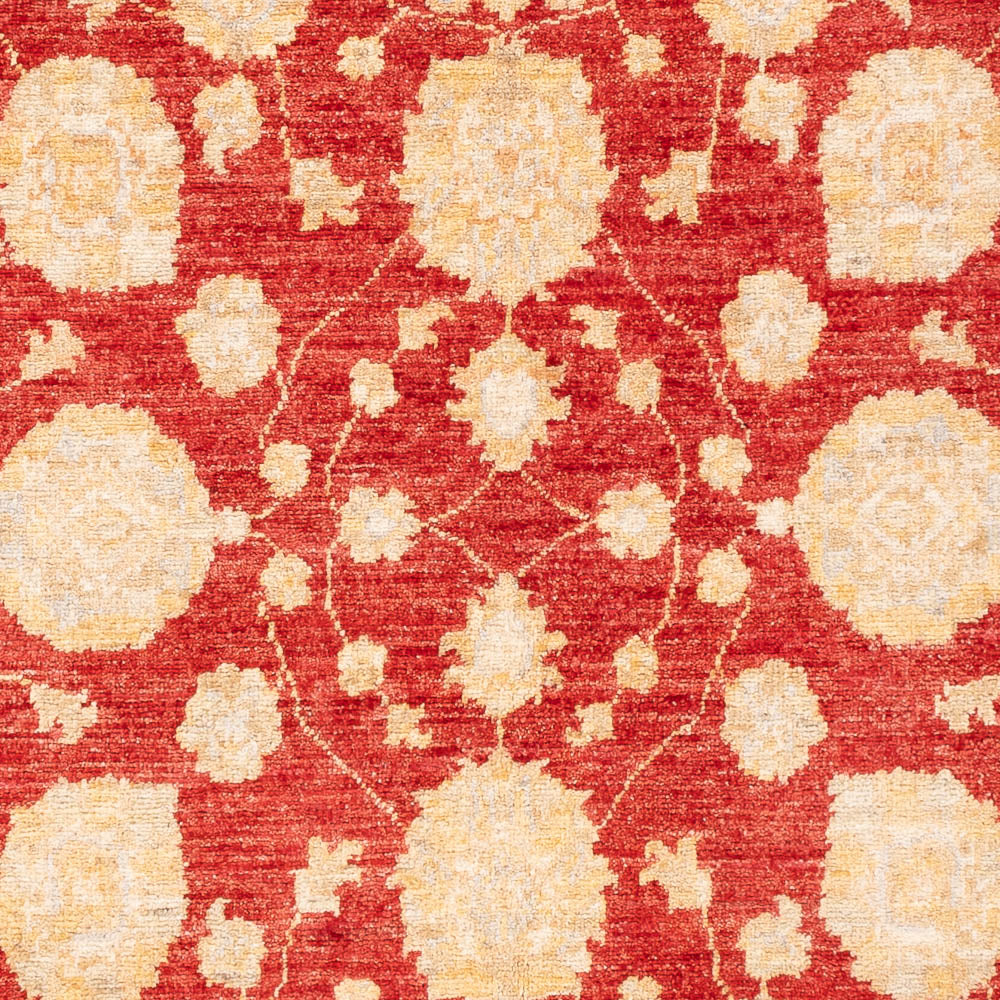 Ziegler Teppich - 181 x 125 cm - rot