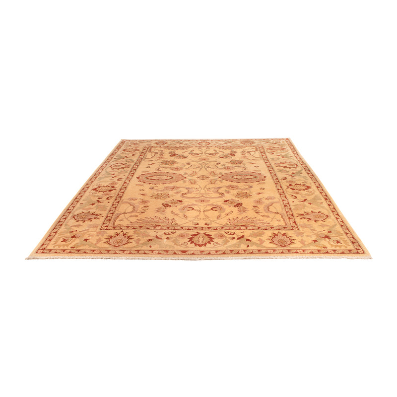 Ziegler Teppich - 304 x 213 cm - beige