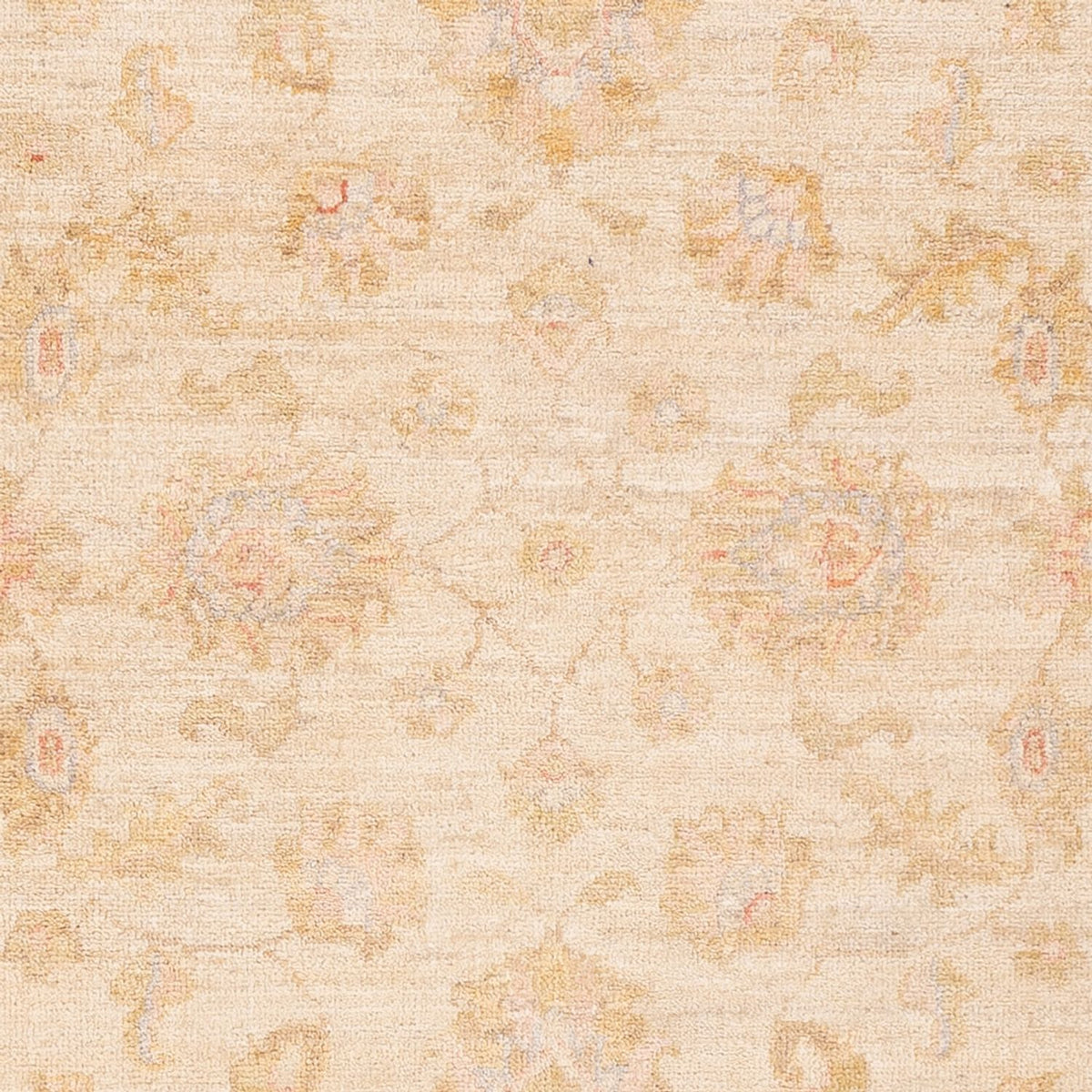 Ziegler Teppich - 150 x 100 cm - beige