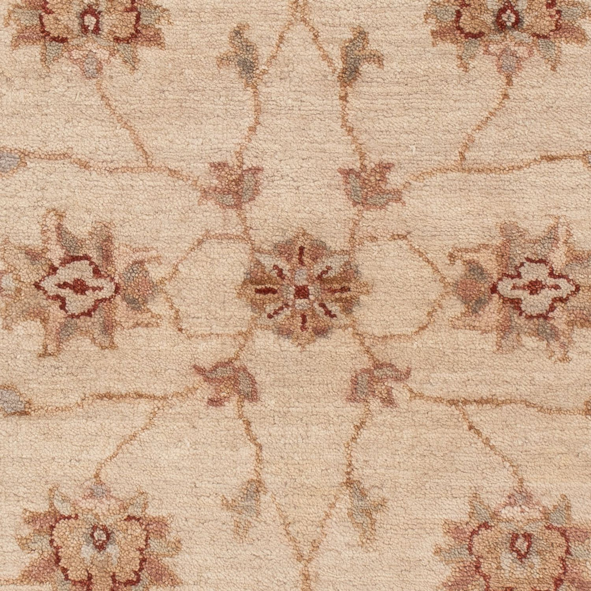 Ziegler Teppich - 120 x 80 cm - beige