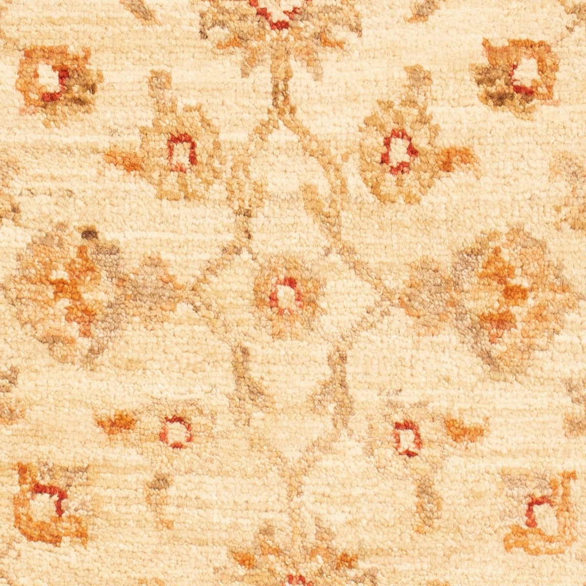 Ziegler Teppich - 94 x 60 cm - beige