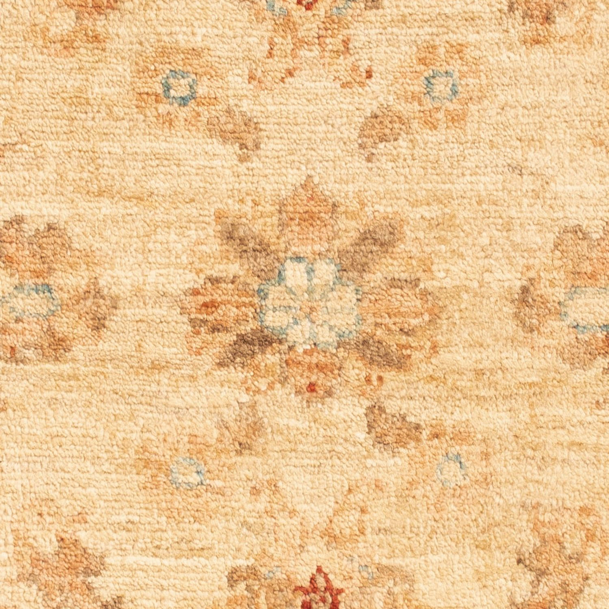 Ziegler Teppich - 92 x 60 cm - beige