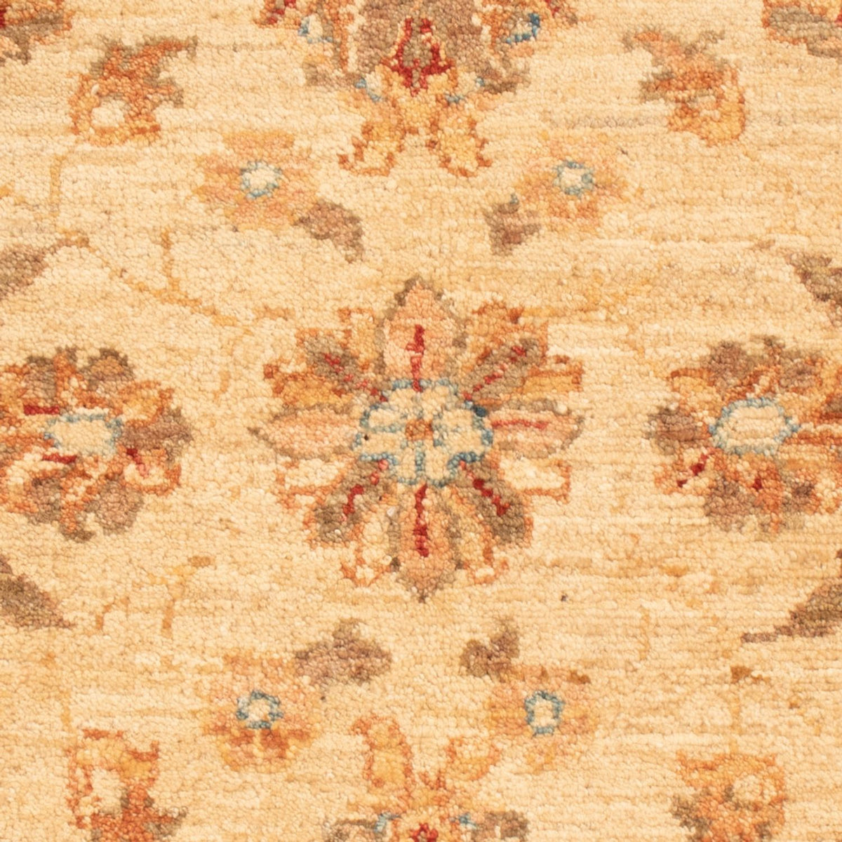Ziegler Teppich - 90 x 58 cm - beige