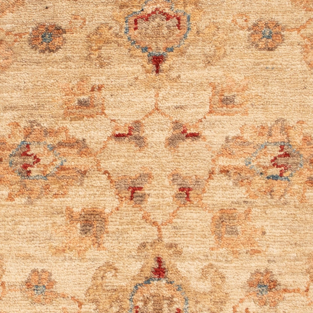 Ziegler Teppich - 80 x 60 cm - beige