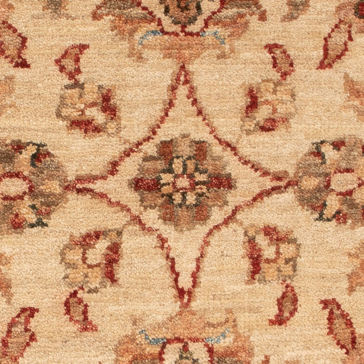 Ziegler Teppich - 72 x 54 cm - beige