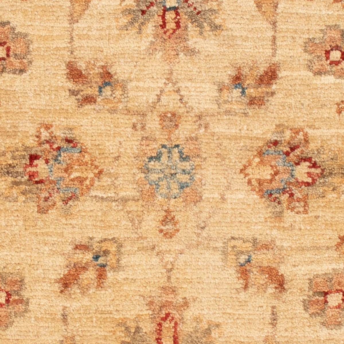 Ziegler Teppich - 65 x 48 cm - beige
