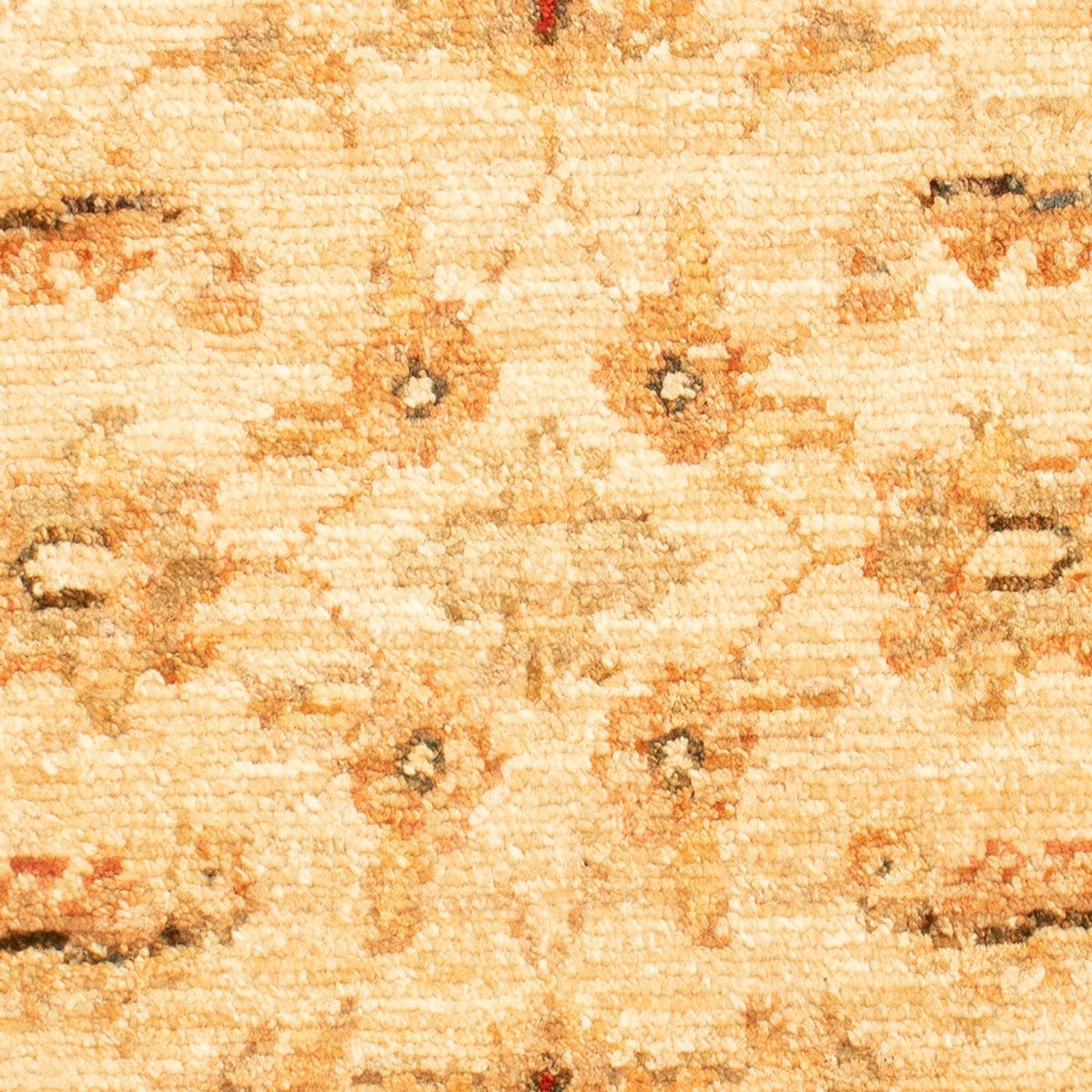 Ziegler Teppich - 70 x 50 cm - beige