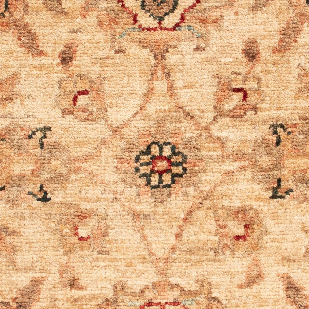Ziegler Teppich - 66 x 52 cm - beige